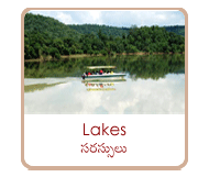 lakes