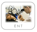ent